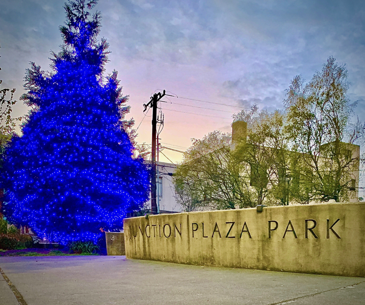 West Seattle Junction Association lights up the tree for healthcare